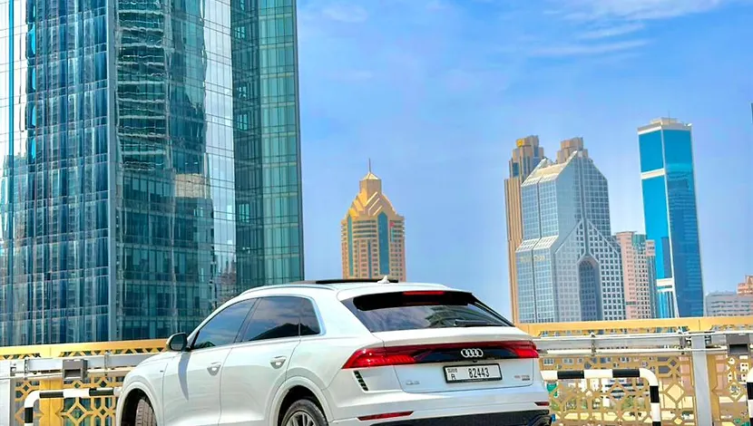 2022 AUDI Q8